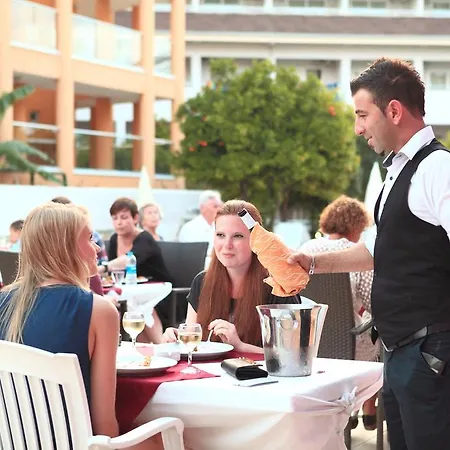 Catty Cats Garden Сіде