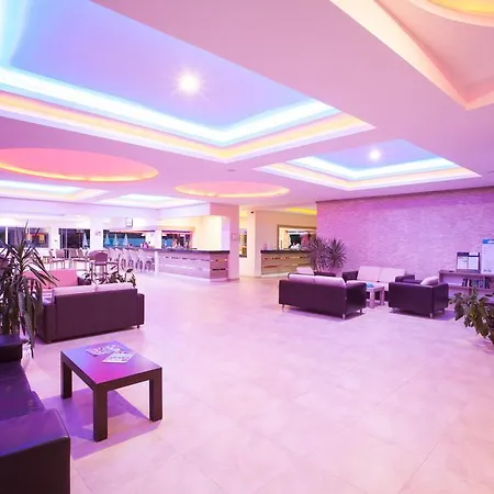 Catty Cats Garden Сіде