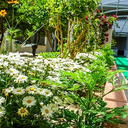 Aparthotel Catty Cats Garden