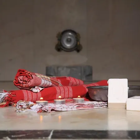 Catty Cats Garden シダ