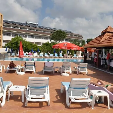 Catty Cats Garden シダ