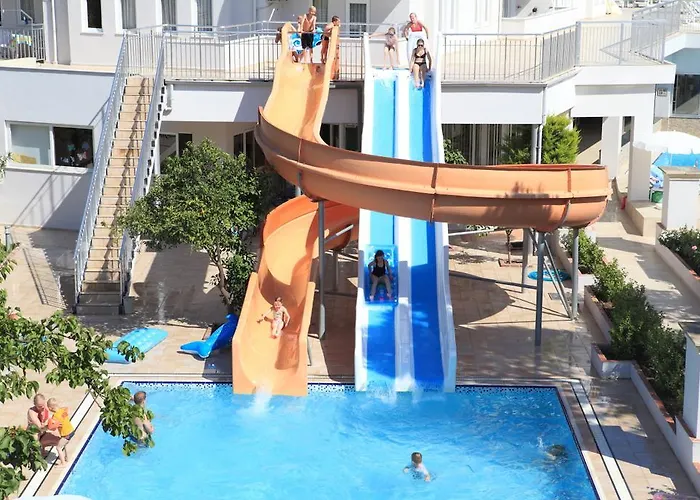 Catty Cats Garden سيدي