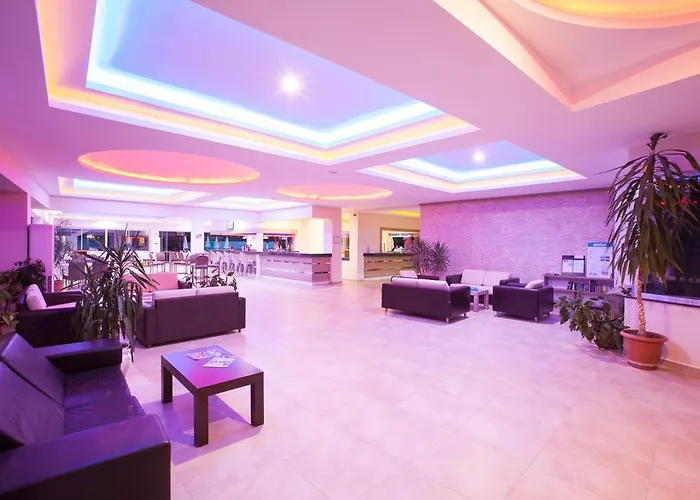 Catty Cats Garden سيدي