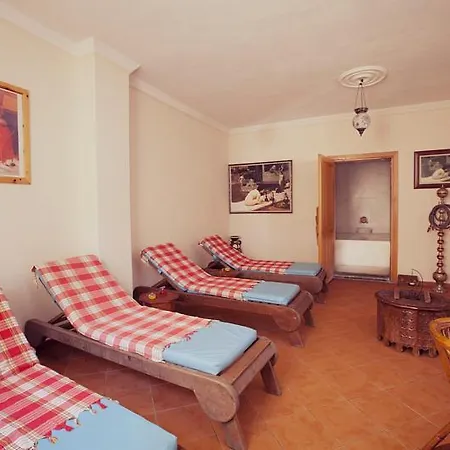 Catty Cats Garden شقة فندقية سيدي