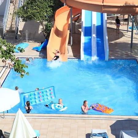 Catty Cats Garden سيدي