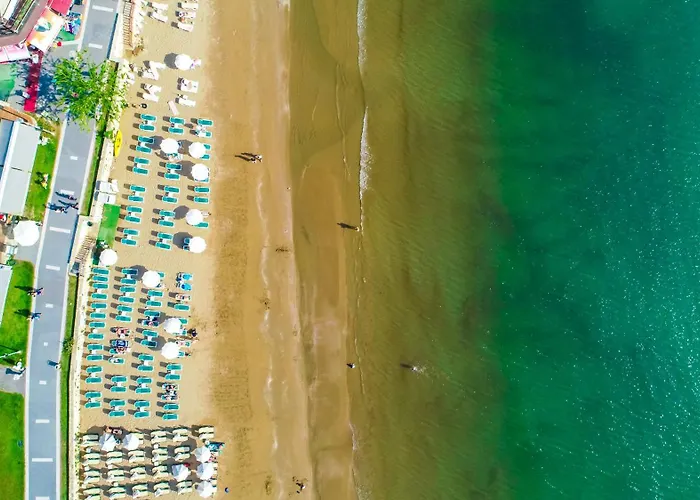 公寓式酒店 凯蒂猫花园公寓式酒店 锡德